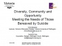 Diversity, Community and Opportunity: Meeting the Needs of Those Bereaved by Suicide