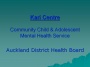 Cultural Workers and Advice - A Kari Centre Model