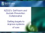 About NZGG's Self-harm and Suicide Prevention Collaborative