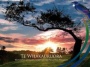 Te Whakauruora. Restoration of Health: Maori Suicide Prevention Resource