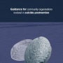 Guidance for Community Organisations Involved in Suicide Postvention